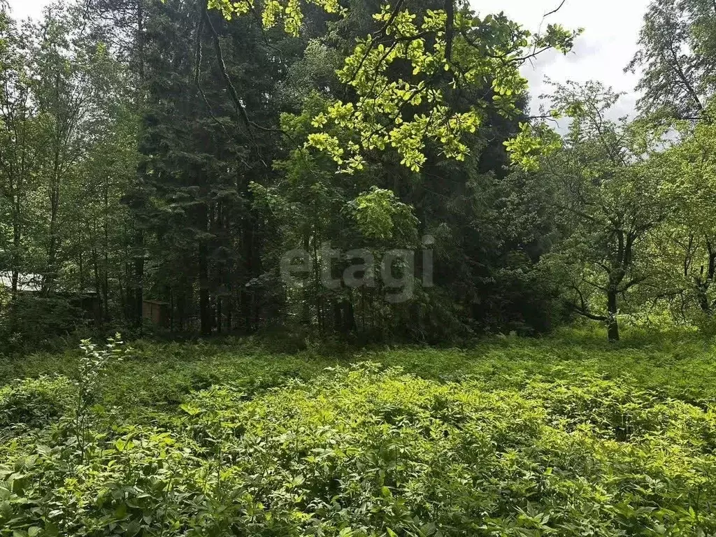 Участок в Московская область, Пушкинский городской округ, ... - Фото 2