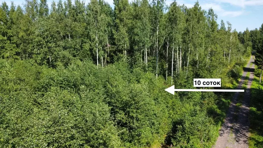 Участок в Ленинградская область, Лужский район, Мшинское с/пос, ... - Фото 2