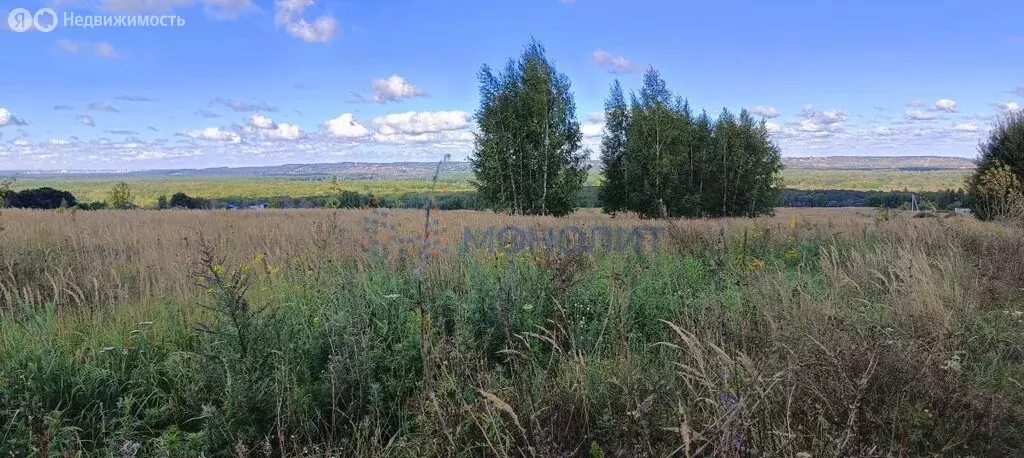 Участок в городской округ Нижний Новгород, село Шава (23 м) - Фото 0