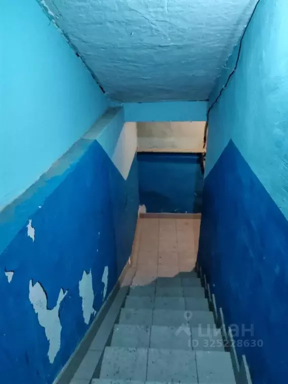 Помещение свободного назначения в Алтайский край, Барнаул ул. ... - Фото 1