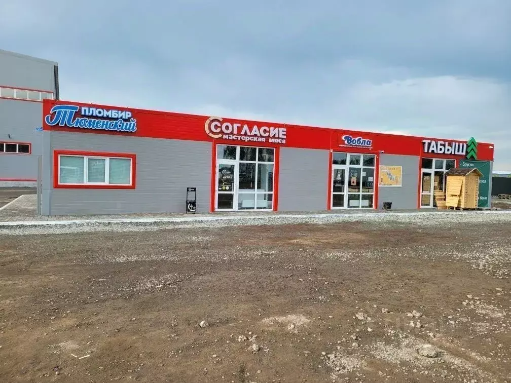 Помещение свободного назначения в Тюменская область, Тюмень Старый ... - Фото 0