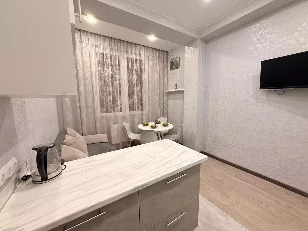 3-к кв. Краснодарский край, Сочи Пластунская ул., 100Б (60.0 м) - Фото 2