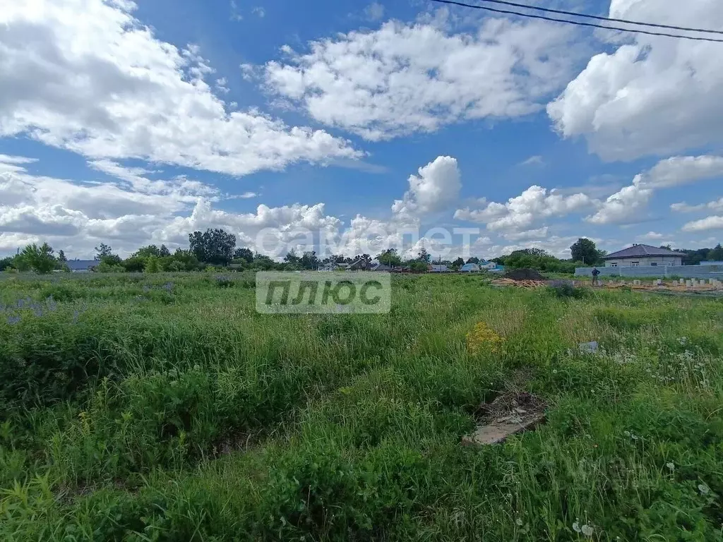 Участок в Тульская область, Новомосковск городской округ, д. Кресты ... - Фото 1
