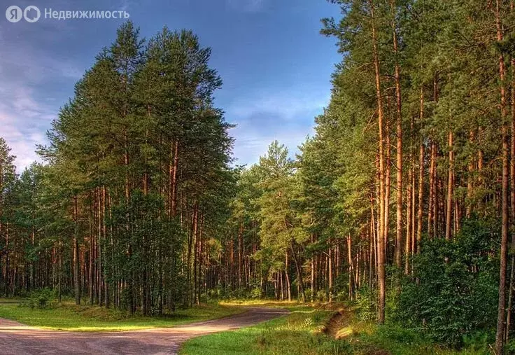 Участок в посёлок Гагарский, загородный комплекс Лайф, 10-я Парковая ... - Фото 1