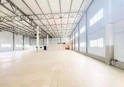 Склад в Ленинградская область, Отрадное Кировский район, Ленинградское ... - Фото 2