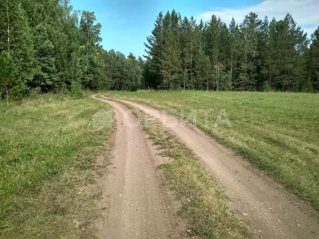 Участок в Тюменская область, Нижнетавдинский район, пос. Кунчур  (7.7 ... - Фото 0