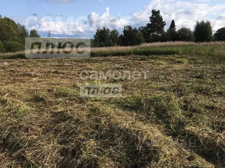 Участок в Вологодская область, Кирилловский муниципальный округ, д. ... - Фото 1