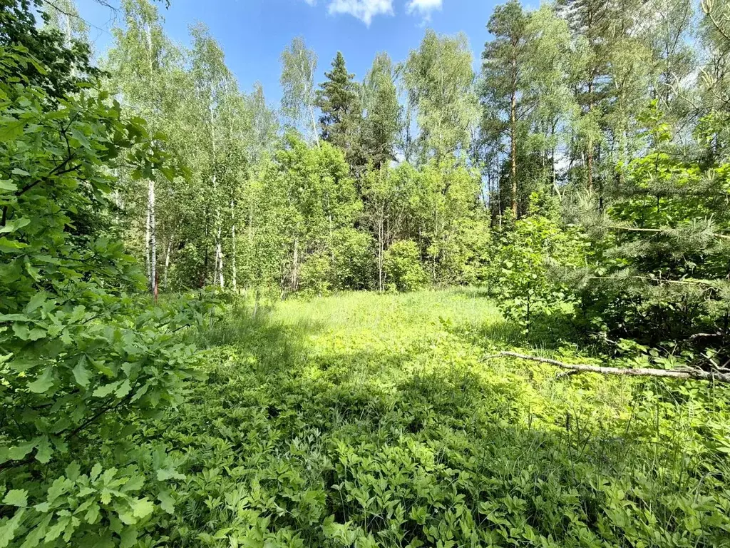 Участок в Московская область, Одинцовский городской округ, д. Аниково  ... - Фото 1