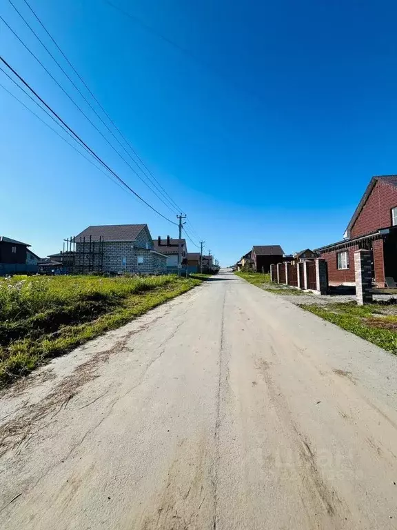Участок в Новосибирская область, Новосибирский район, Каменский ... - Фото 1