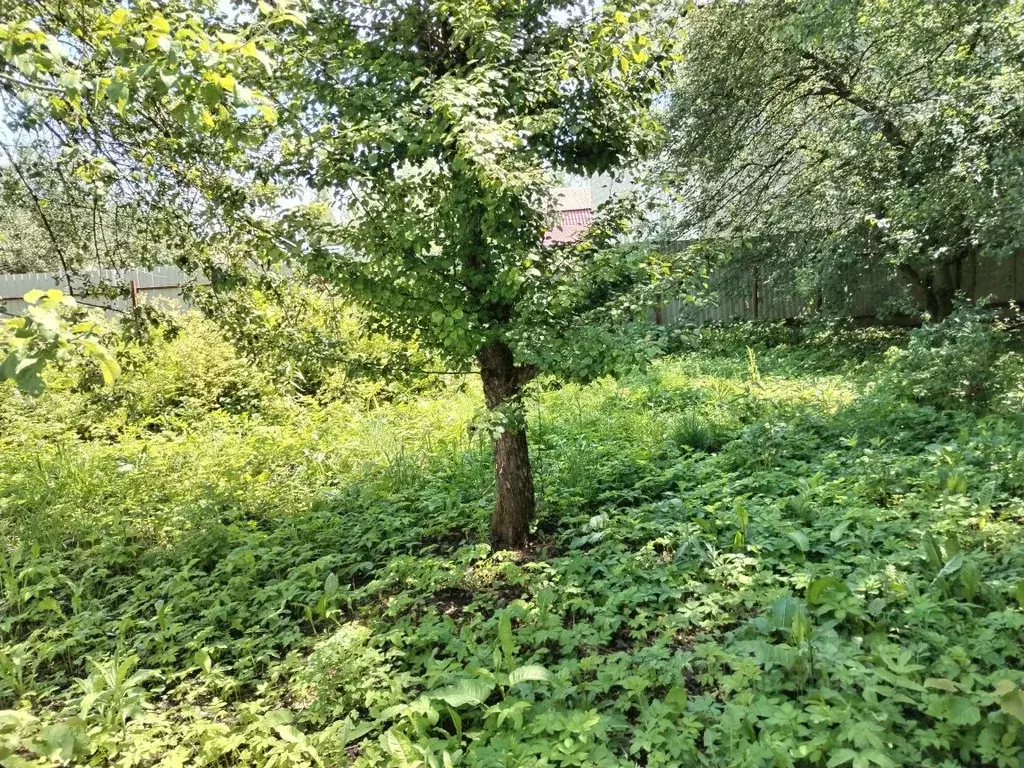 Участок в Москва Десна СПК, ул. Окружная (6.3 сот.) - Фото 1