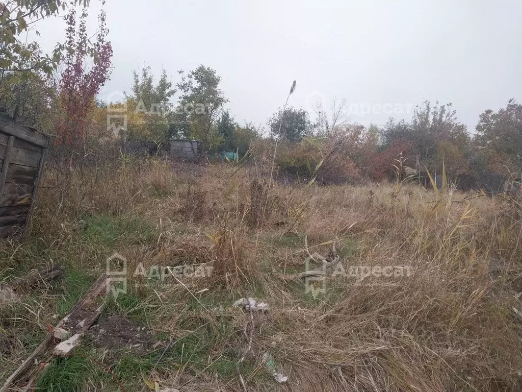 Участок в Волгоградская область, Волгоград Наука СНТ,  (6.14 сот.) - Фото 0