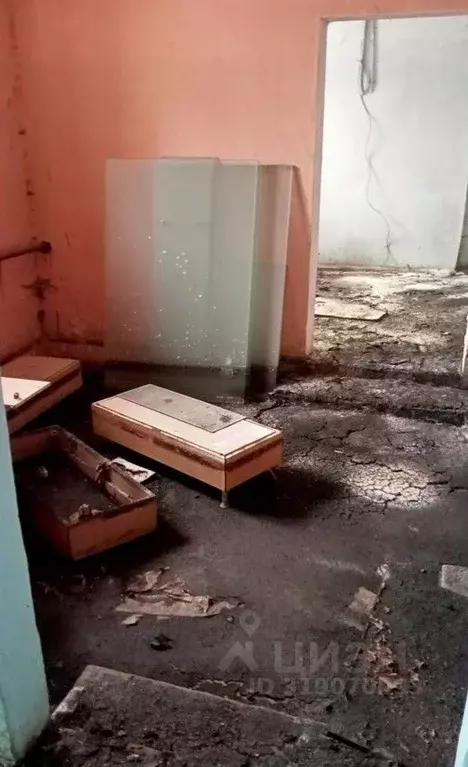 Помещение свободного назначения в Оренбургская область, Оренбург ... - Фото 1