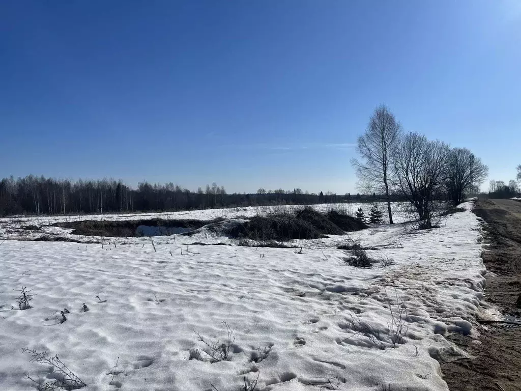 Участок в Тверская область, Калининский муниципальный округ, с. ... - Фото 1