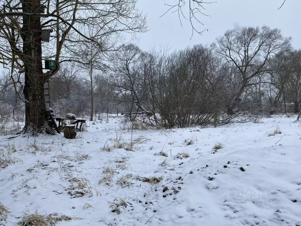 Участок в Московская область, Клин городской округ, д. Еросимово  ... - Фото 0