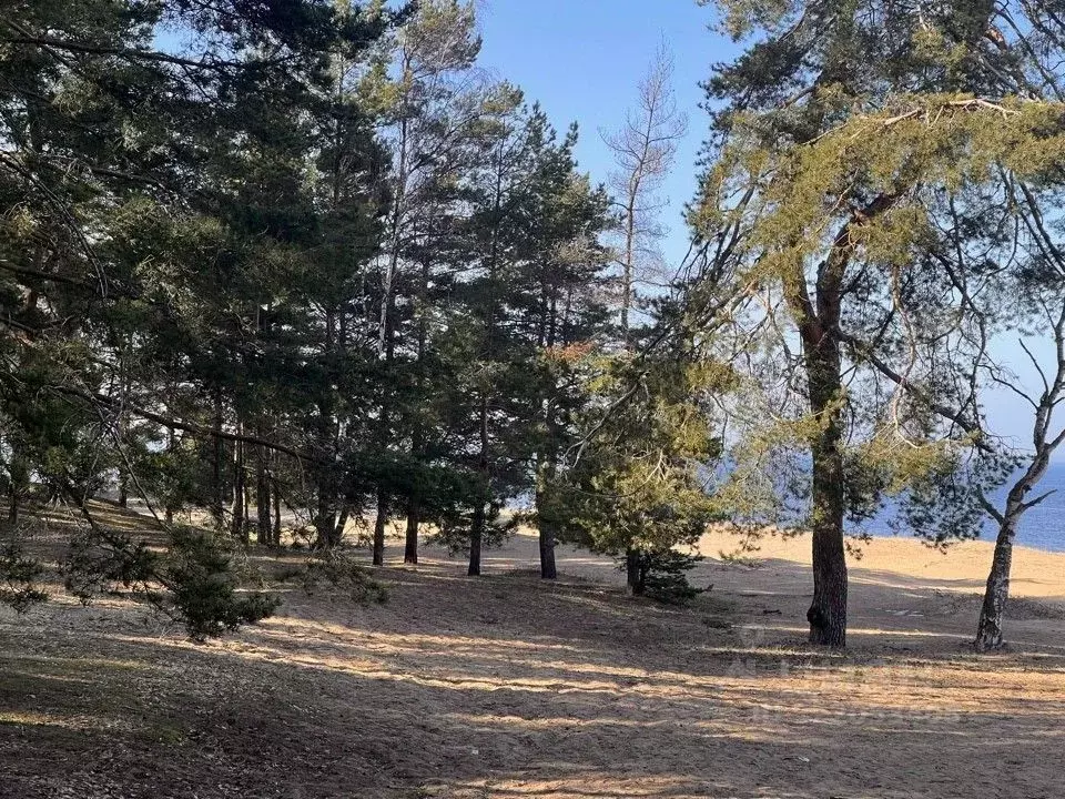 Участок в Ленинградская область, Ломоносовский район, Лебяженское ... - Фото 1