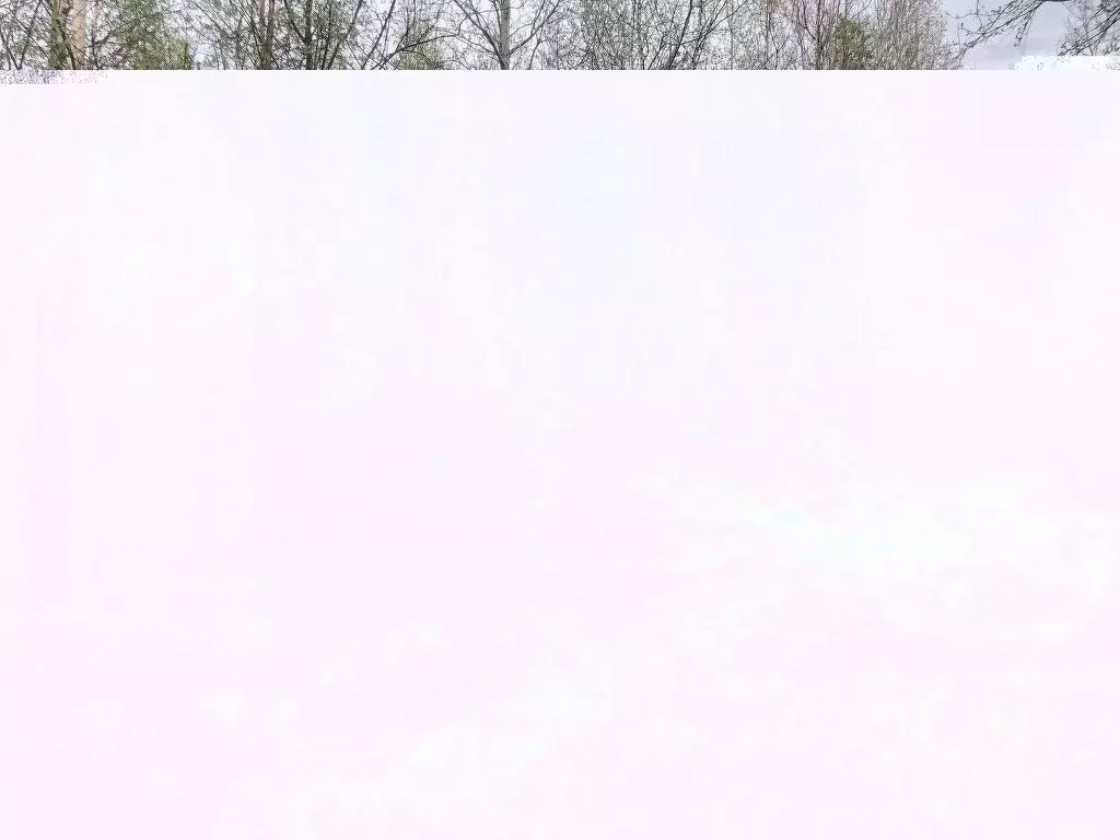 Участок в Ханты-Мансийский АО, Нефтеюганский район, Сингапай с/пос, ... - Фото 0