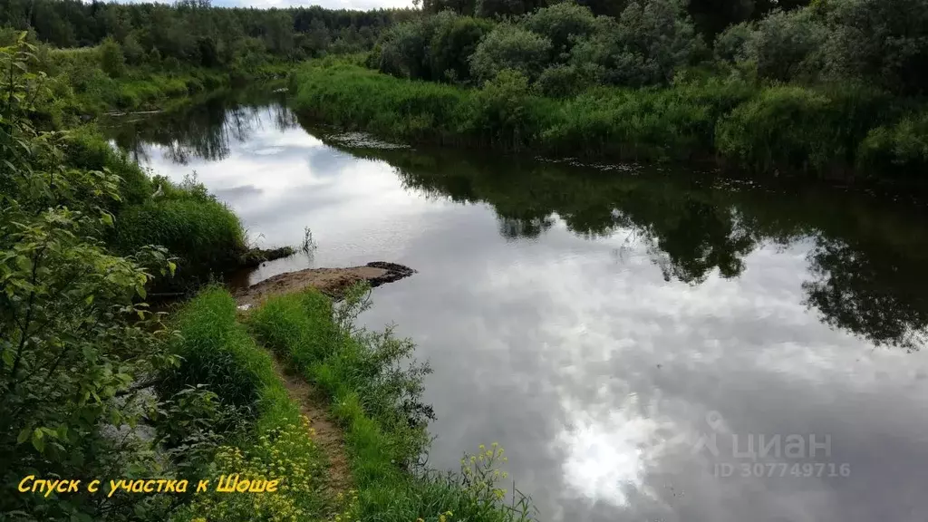 Участок в Тверская область, Конаковский муниципальный округ, д. ... - Фото 2