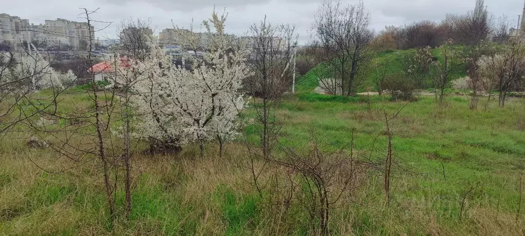 Участок в Крым, Симферополь ул. Василия Шломовича (6.0 сот.) - Фото 2