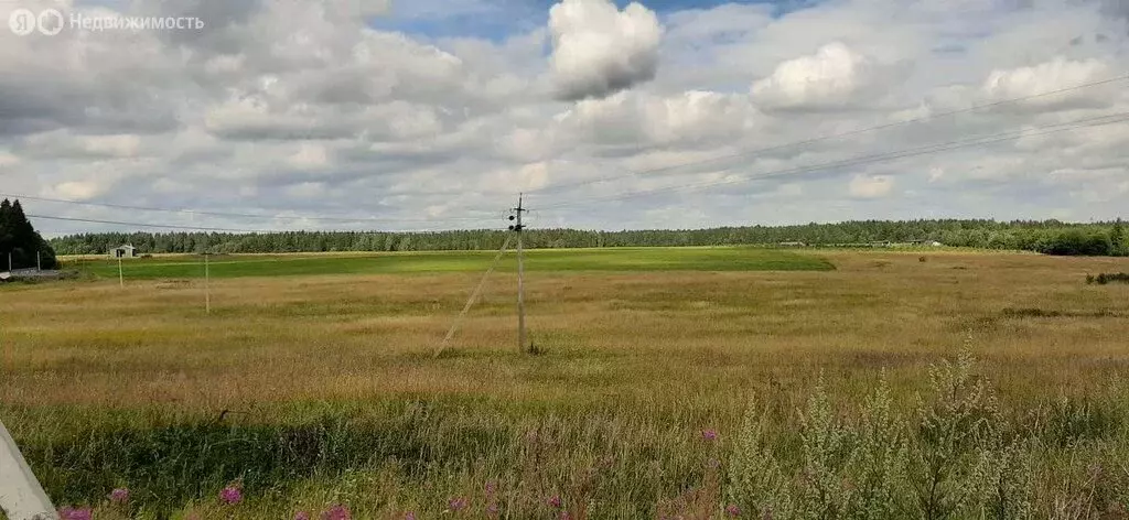 Участок в Волосовский район, Клопицкое сельское поселение, деревня ... - Фото 2