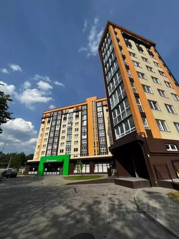 1-к кв. Калининградская область, Калининград ул. Александра Невского, ... - Фото 2