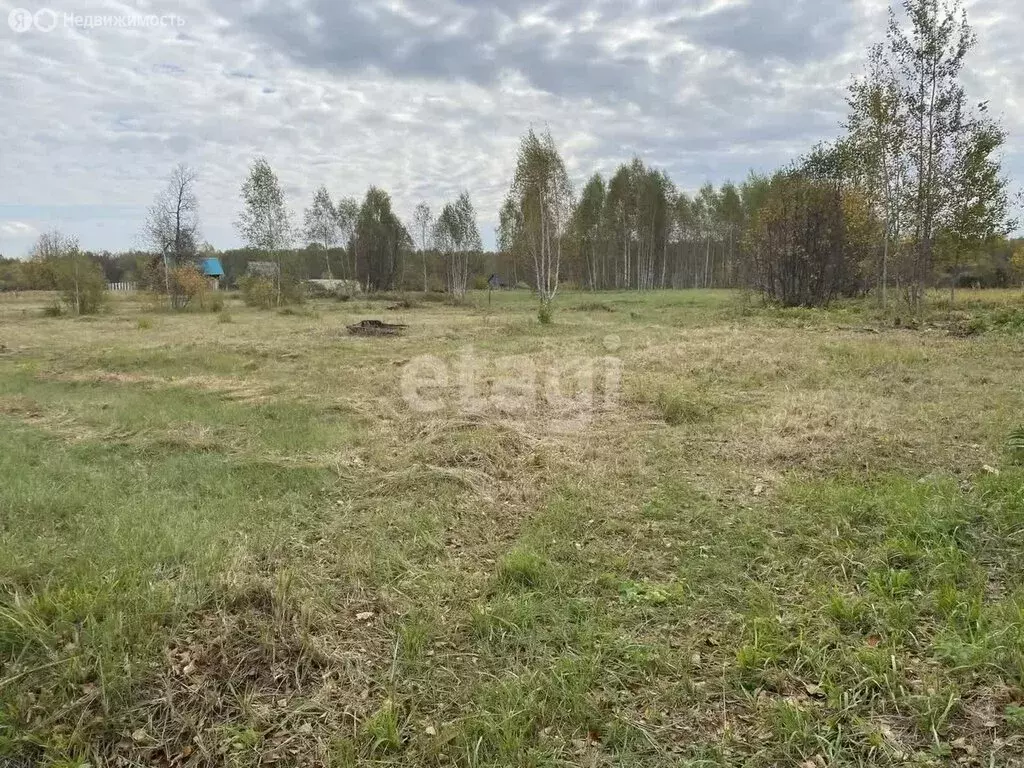 Участок в Нижнетавдинский район, садоводческое некоммерческое ... - Фото 1