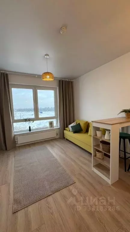 Студия Москва ул. Трехполье, 6к1 (19.6 м) - Фото 2