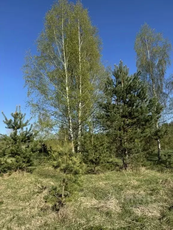 Участок в Тверская область, Зубцовский муниципальный округ, д. ... - Фото 2