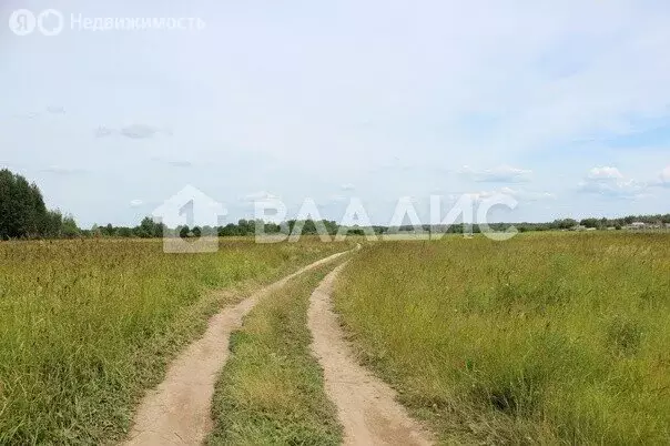 Участок в Владимирская область, Собинский муниципальный округ, деревня ... - Фото 1