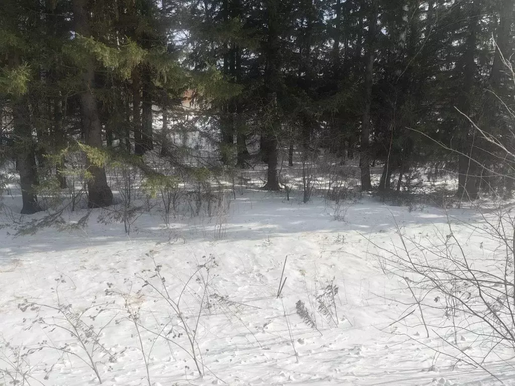 Участок в Красноярский край, Емельяновский муниципальный округ, Ясная ... - Фото 1