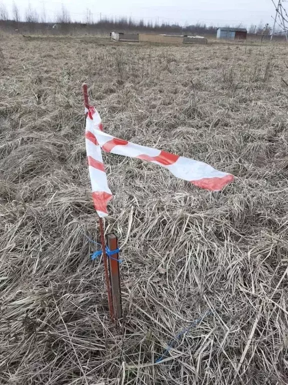Участок в Псковская область, Псковский муниципальный округ, ... - Фото 2