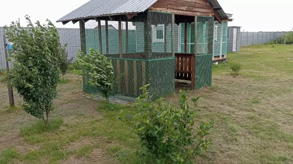 Участок в Курганская область, Кетовский муниципальный округ, с. ... - Фото 1