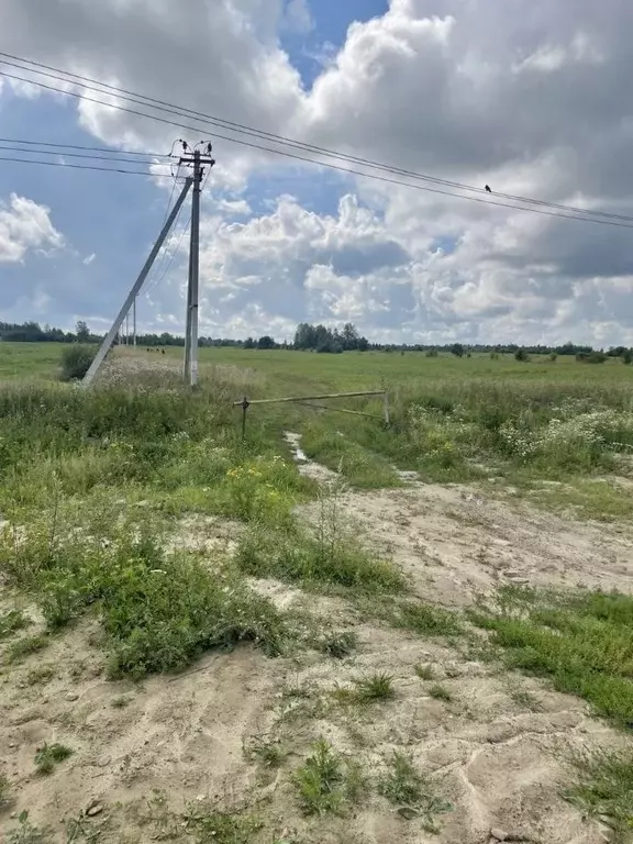 Участок в Ленинградская область, Всеволожский район, Романовское ... - Фото 1