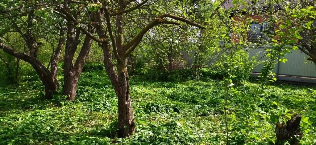 Участок в Марий Эл, Медведевский район, Пекшиксолинское с/пос, пос. ... - Фото 2