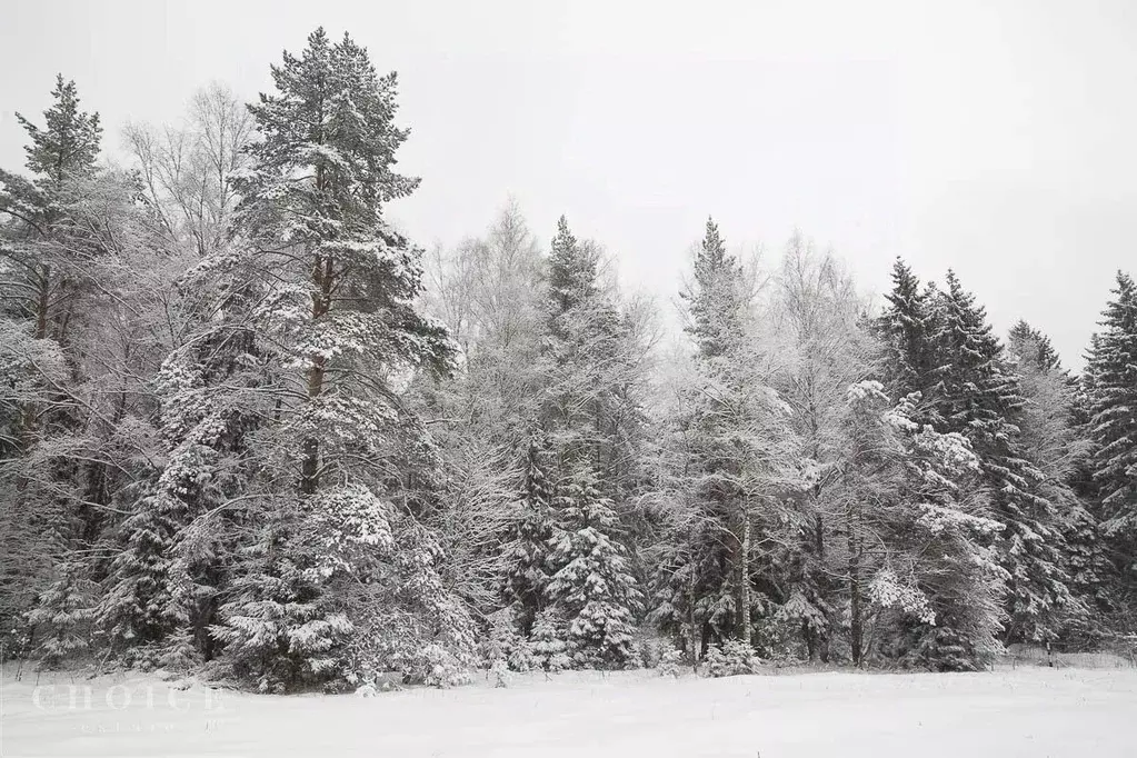 Участок в Московская область, Одинцовский городской округ, пос. ... - Фото 2