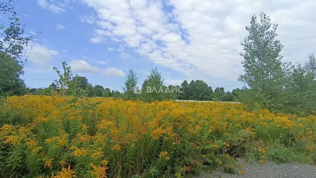 Участок в Нижегородская область, Бор муниципальный округ, д. Княжево  ... - Фото 1