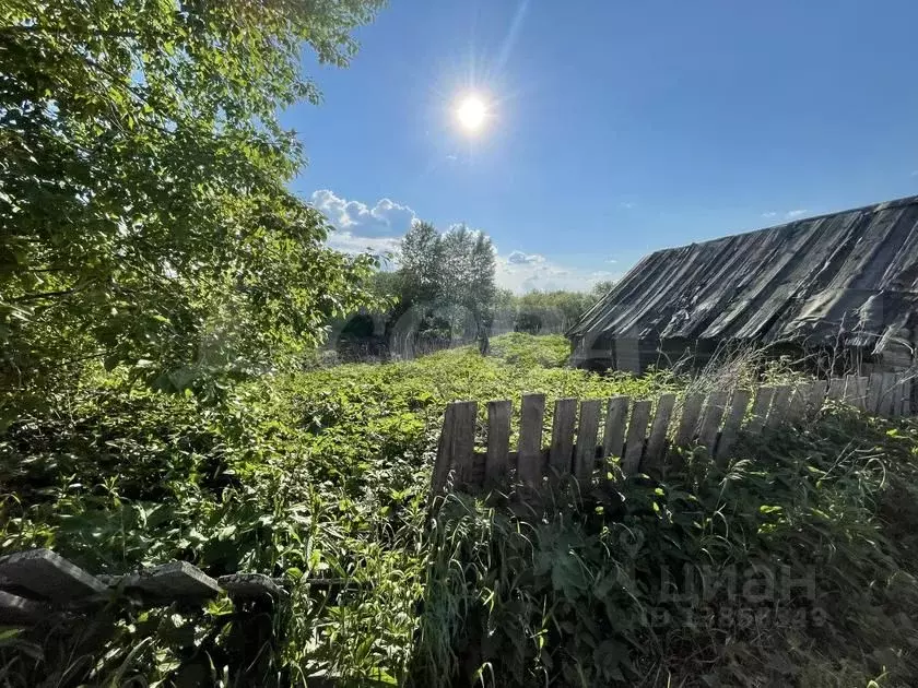 Участок в Тюменская область, Исетский район, с. Бархатово ул. 8 Марта ... - Фото 0