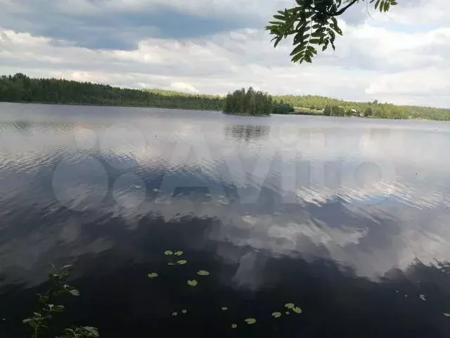 Участок 40 сот. (ИЖС) - Фото 0