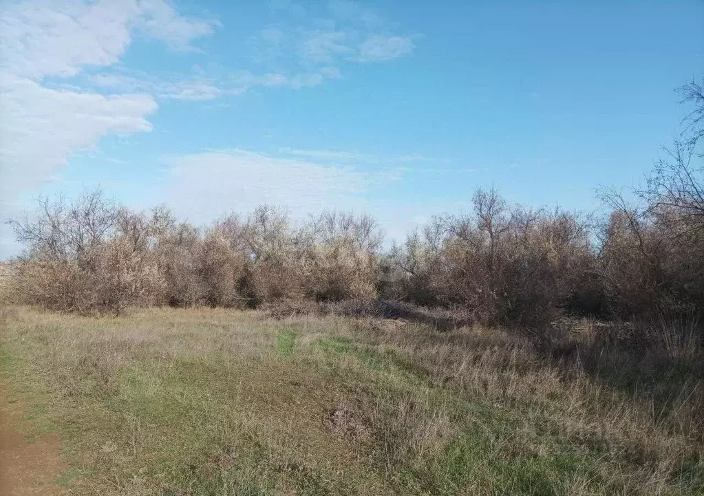 Участок в Крым, Феодосия ул. Казацкая (9.76 сот.) - Фото 1