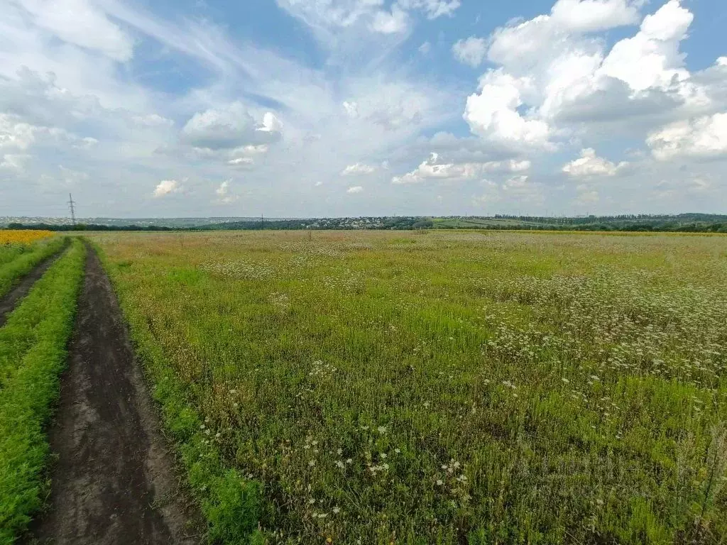 Купить Участок Рядом С Водохранилищем