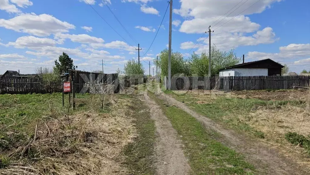 Участок в Новосибирская область, Новосибирский район, с. Криводановка ... - Фото 2