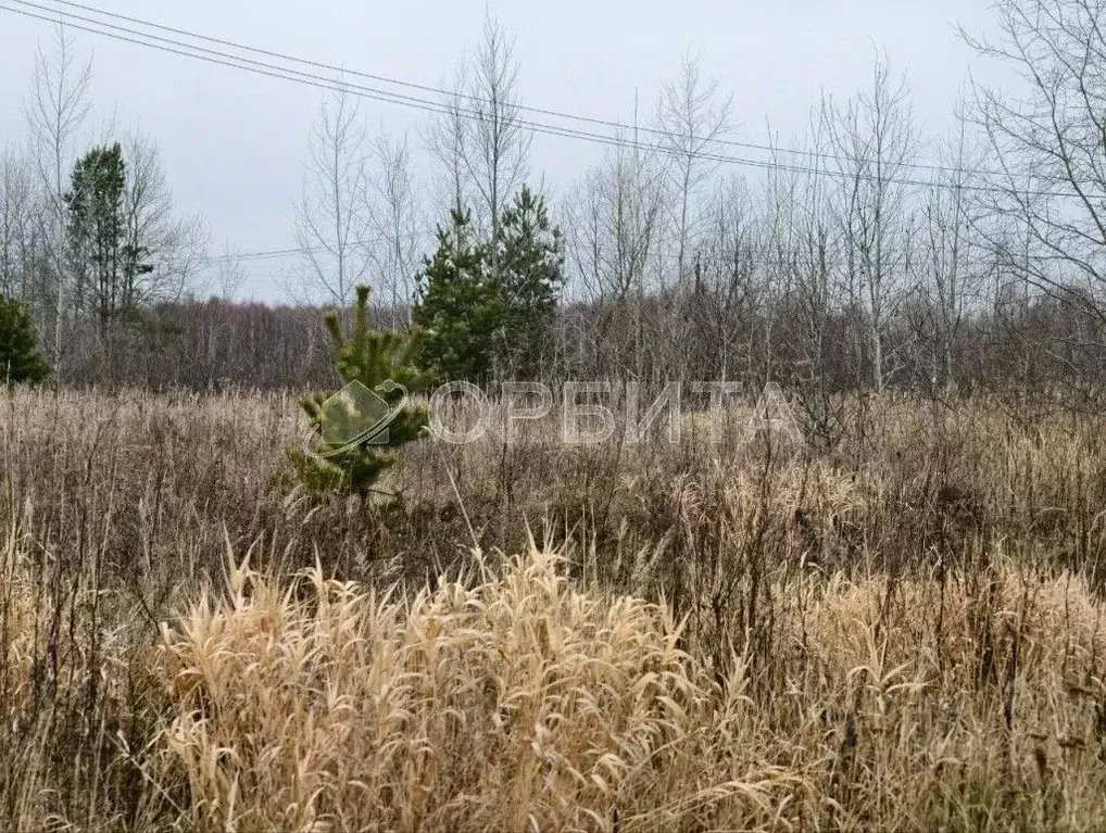 Участок в Тюменская область, Тюменский муниципальный округ, ... - Фото 2