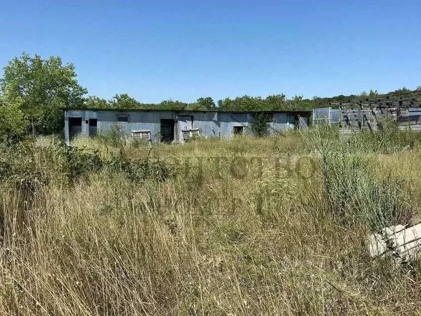 Участок в Краснодарский край, Новороссийск городской округ, Раевская ... - Фото 0
