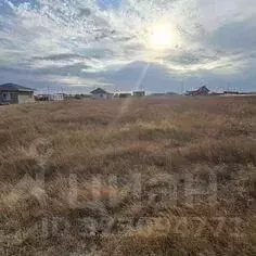 Участок в Крым, Черноморский район, Оленевское с/пос, с. Оленевка  ... - Фото 1