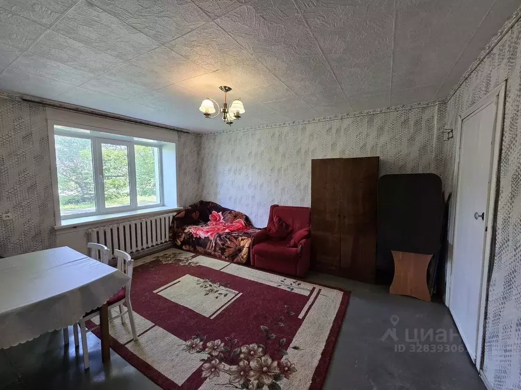 3-к кв. Новосибирская область, Черепаново Партизанская ул., 18 (55.0 ... - Фото 2