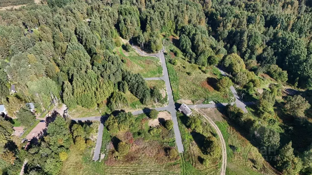 Участок в Ленинградская область, Тосненский район, Красный Бор ... - Фото 1