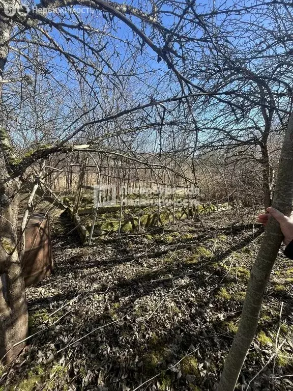 Участок в Псковский муниципальный округ, деревня Малая Листовка, ... - Фото 2