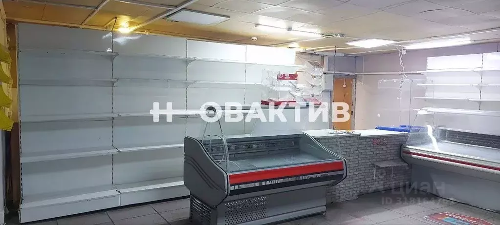 Помещение свободного назначения в Новосибирская область, Искитим ... - Фото 1