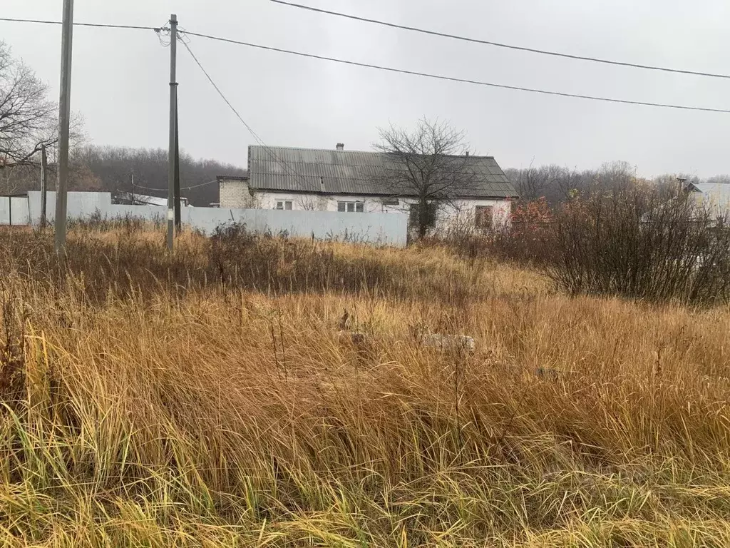 Дом в Самарская область, Ставропольский район, Александровка с/пос, с. ... - Фото 2
