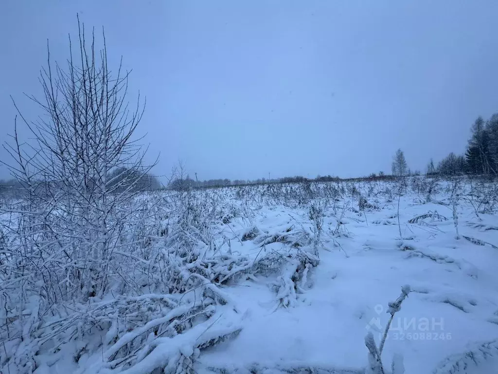 Участок в Московская область, Волоколамский муниципальный округ, д. ... - Фото 2