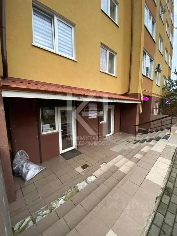 Помещение свободного назначения в Калининградская область, Калининград ... - Фото 1